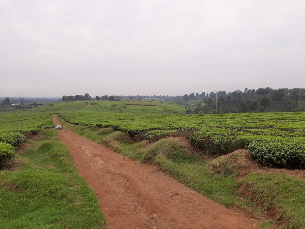 1275 Acres Tea Estate for sale in Tigoni Kiambu