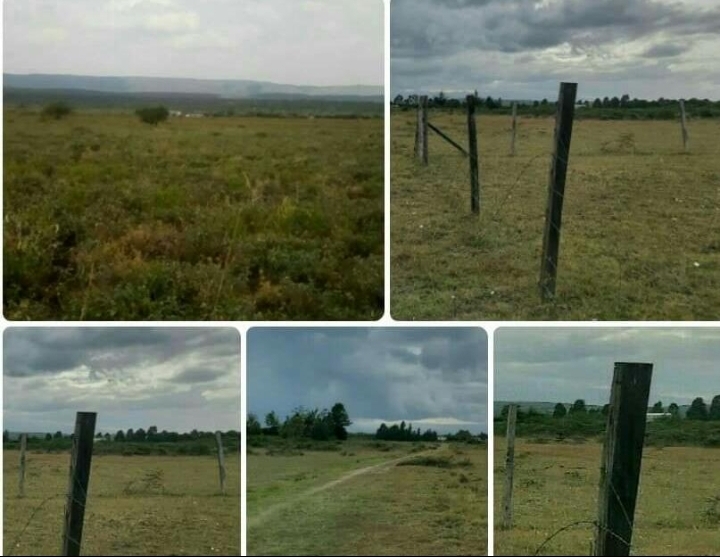 5 acres for sale at Mlolongo 