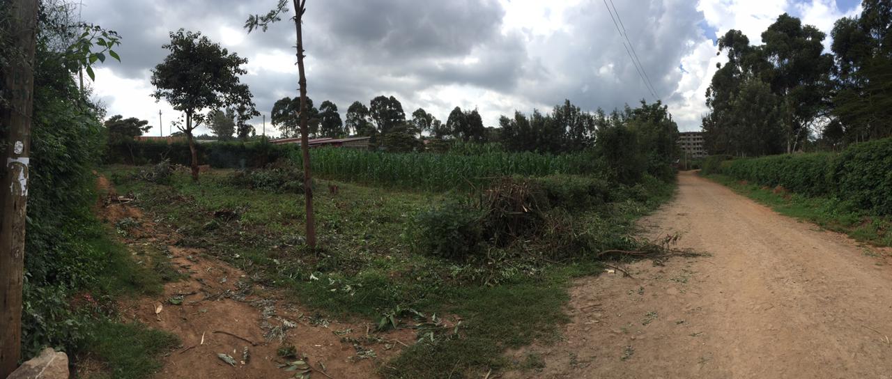 50 by 100 plot for sale in Kamangu Ndeiya