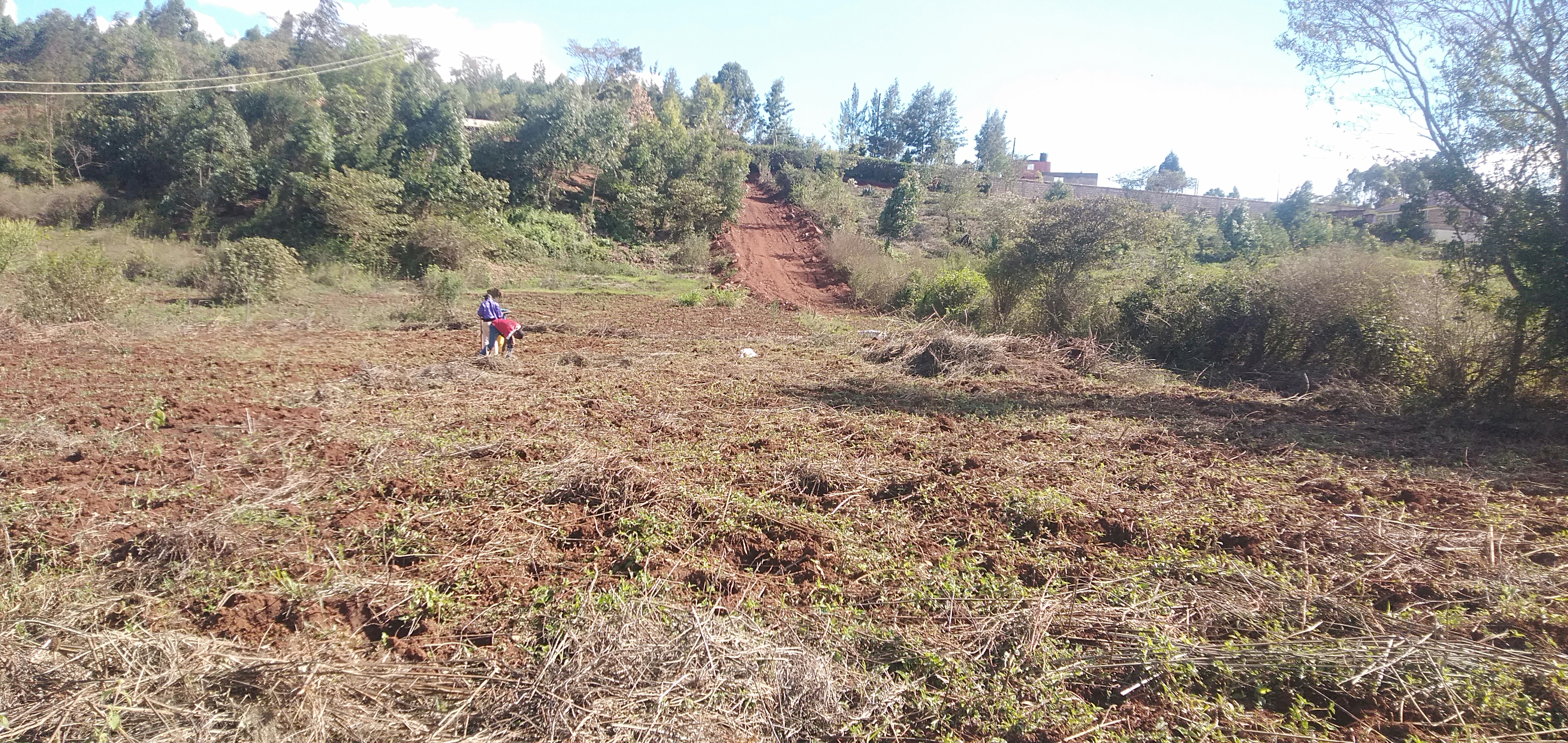 1/4 acre plot for sale in Kikuyu 
