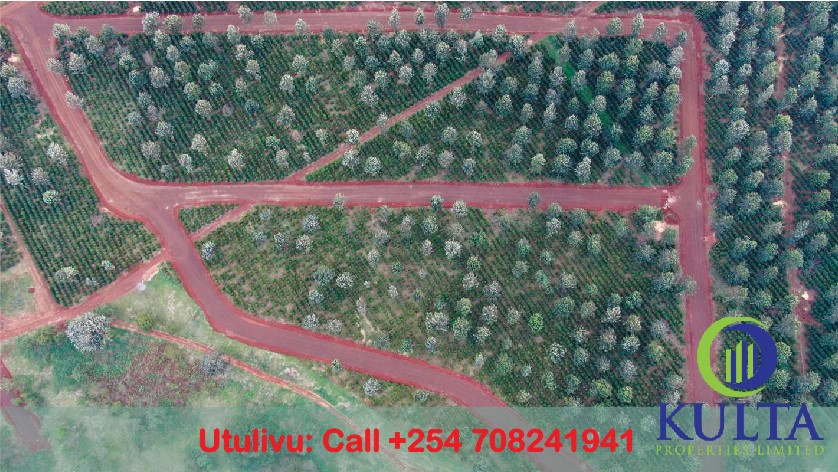 1/4 and 1/2 acre plots by the lake in Oaklands Tatu city