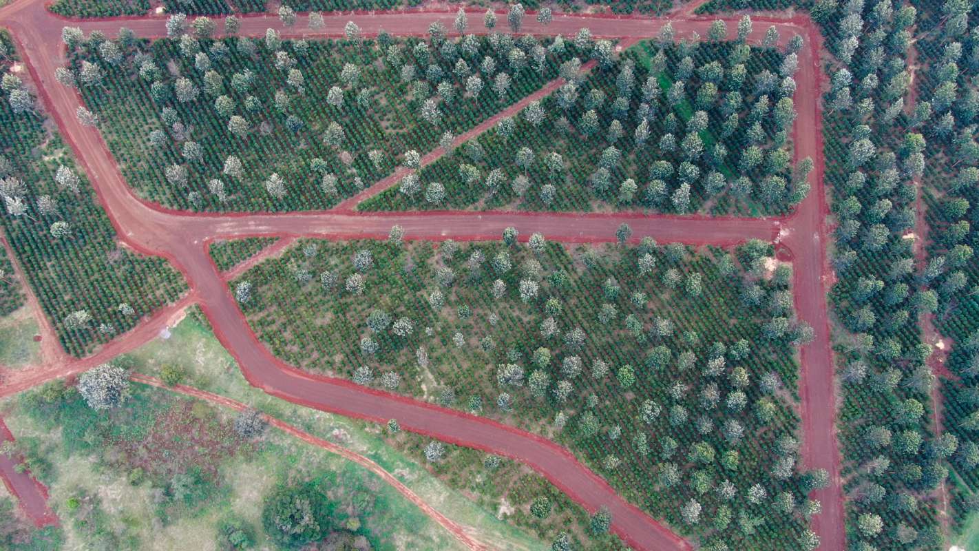 1/8 and 1/4 Acre plots for sale at Tatu City the Springs