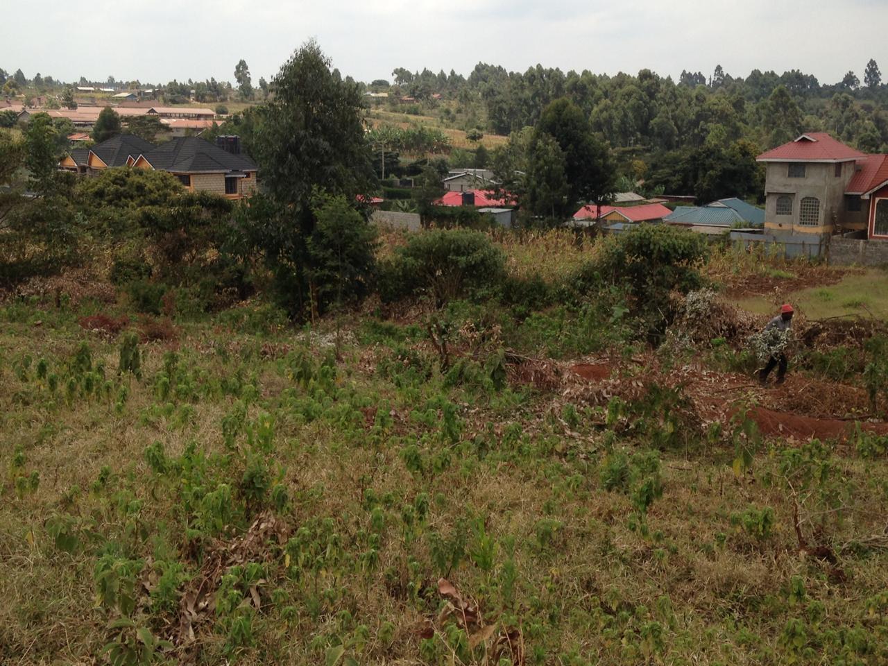 Prime 1/8 acre plot for sale in Kikuyu Kamangu