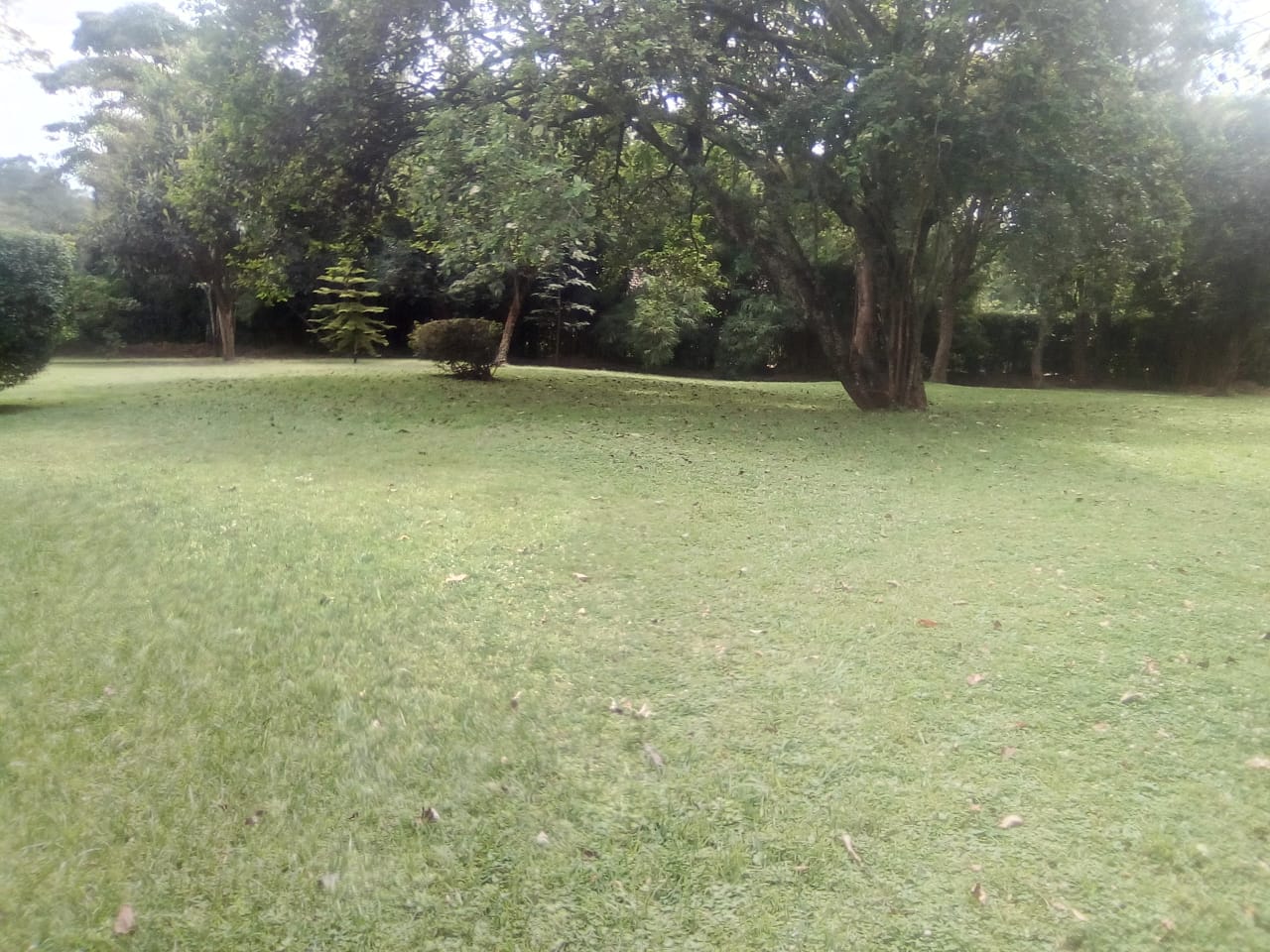 4 Bedroom House for sale on 1 Acre in Karen. 