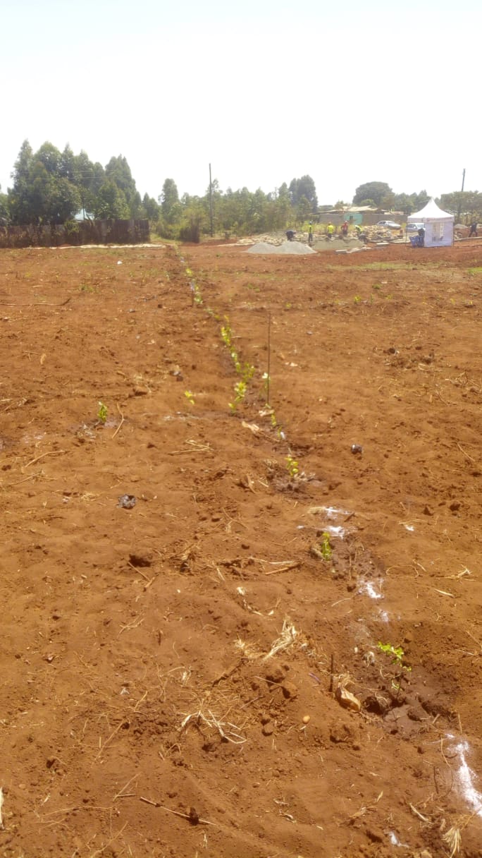 50 x 100 plots for sale in Ondiri Kikuyu