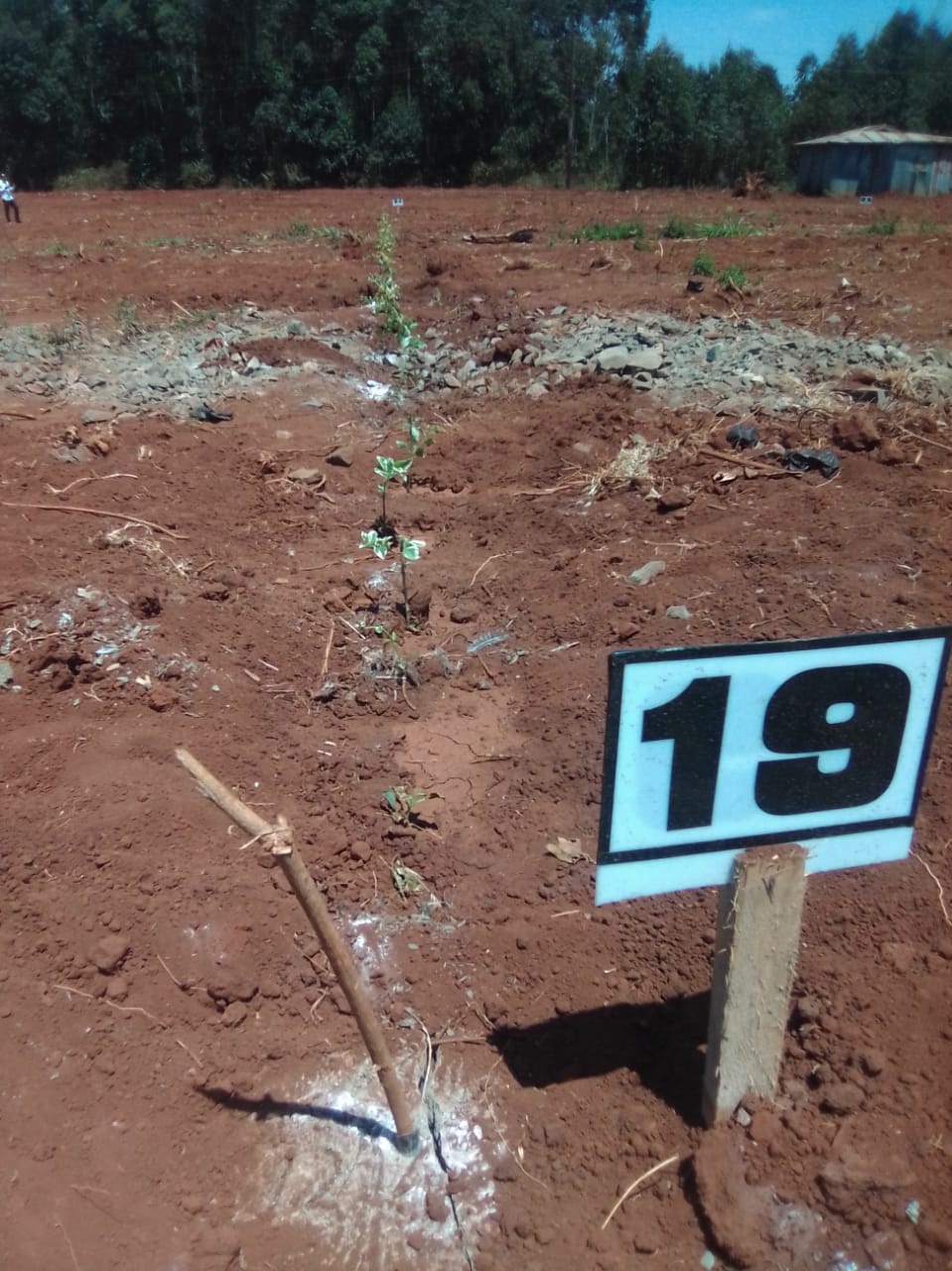 50 x 100 plots for sale in Ondiri Kikuyu