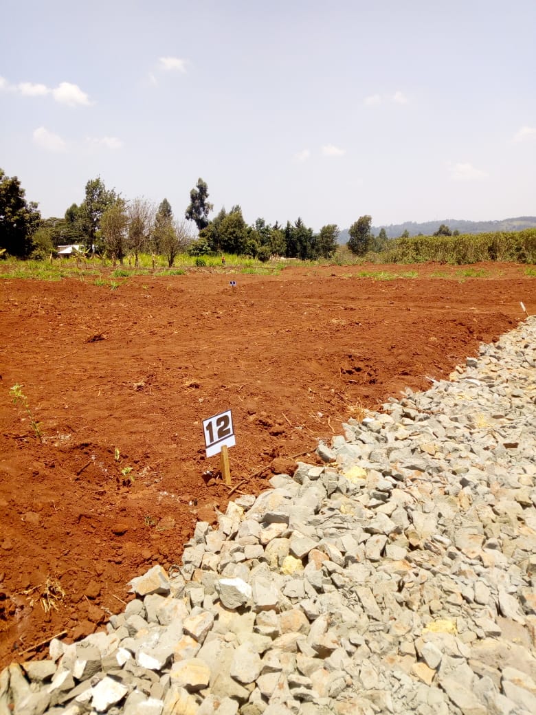 50 x 100 plots for sale in Ondiri Kikuyu