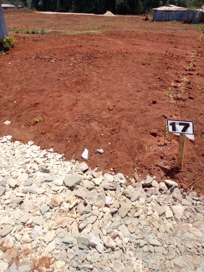 50 x 100 plots for sale in Ondiri Kikuyu