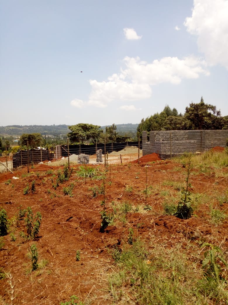 50 x 100 plots for sale in Ondiri Kikuyu