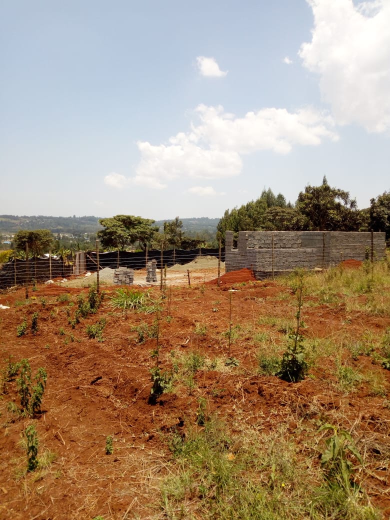 50 x 100 plots for sale in Ondiri Kikuyu