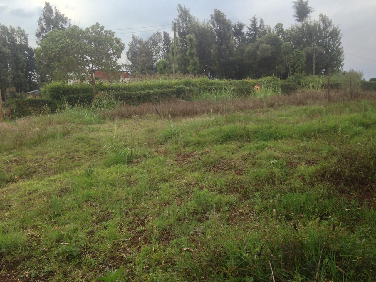 1/8 acre plot on sale In Kikuyu Kanyariri