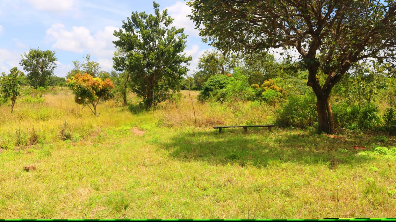 1/8 Acre plots for sale in a gated community in Embu