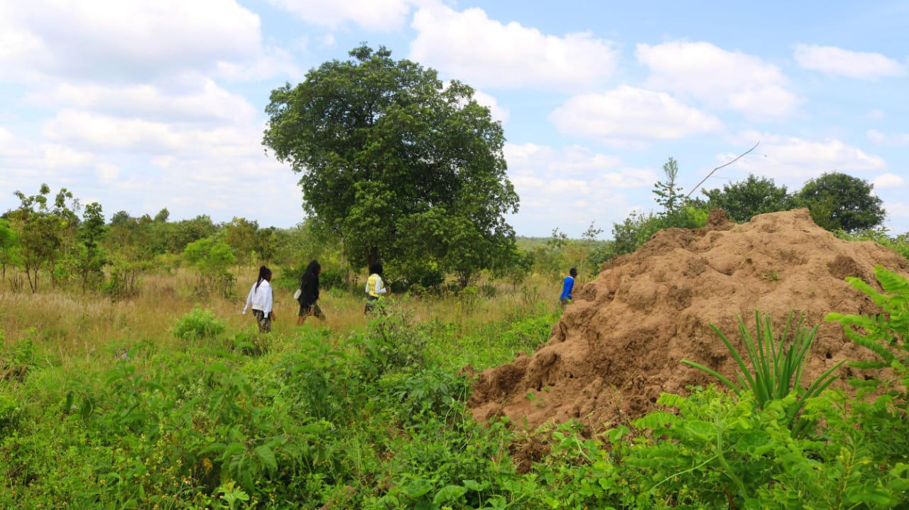 1/8 Acre plots for sale in a gated community in Embu