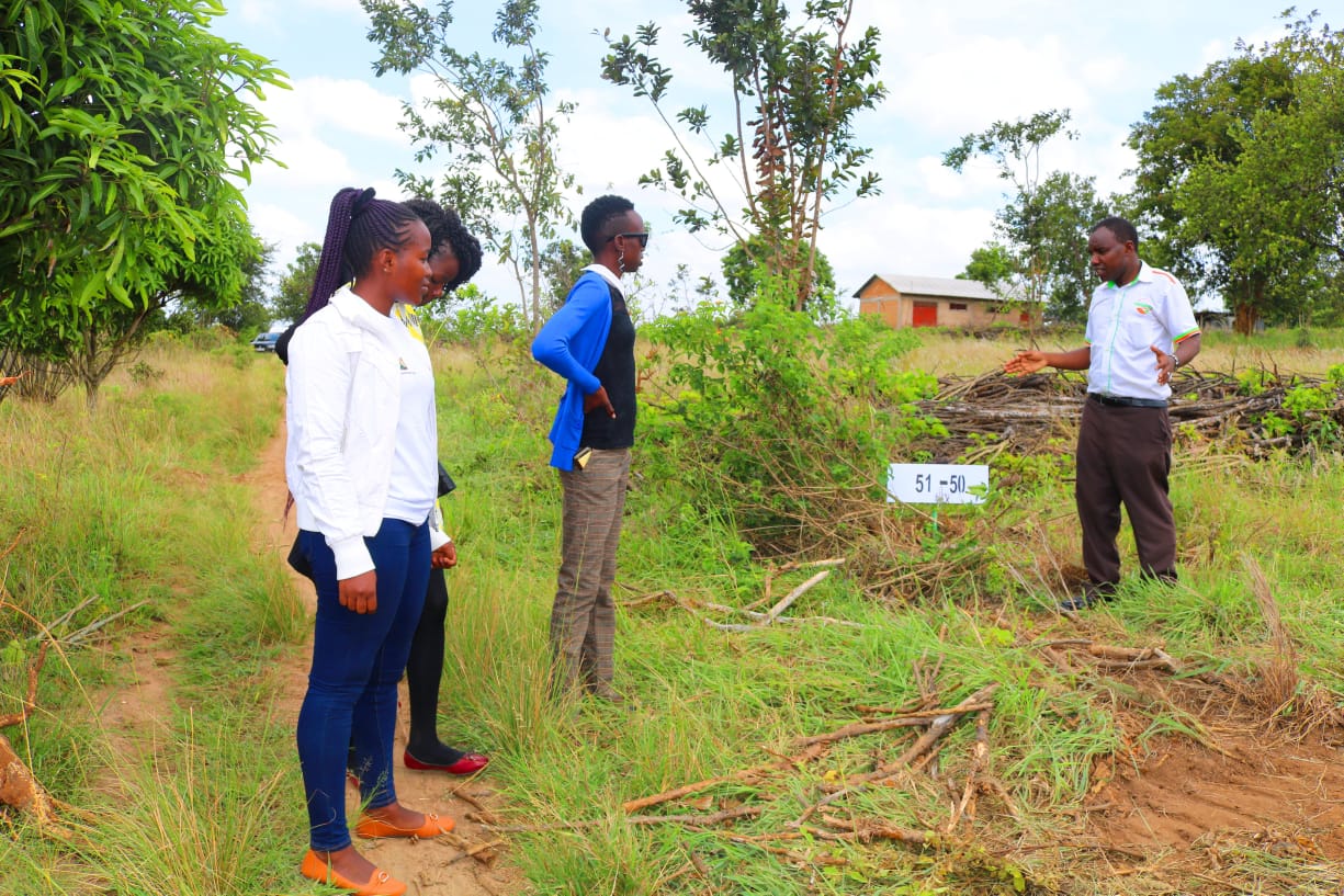 1/8 Acre plots for sale in a gated community in Embu