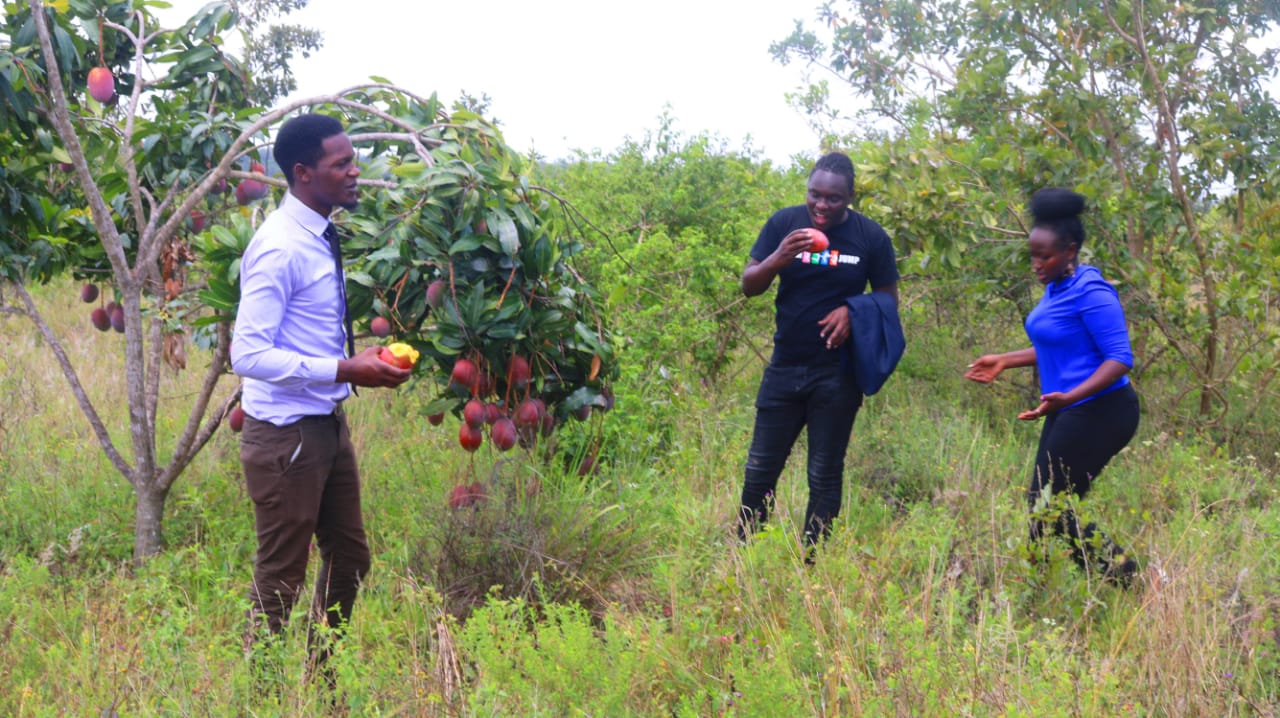 1/8 Acre plots for sale in a gated community in Embu