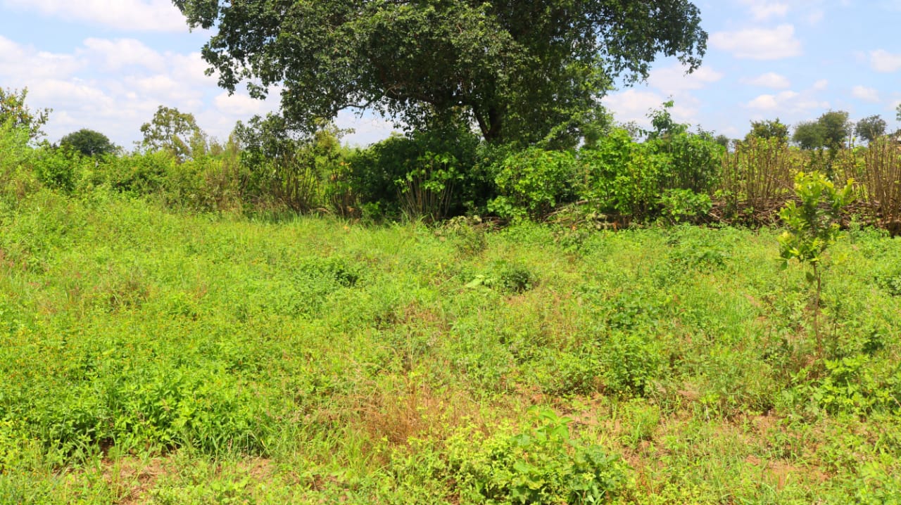 1/8 Acre plots for sale in a gated community in Embu