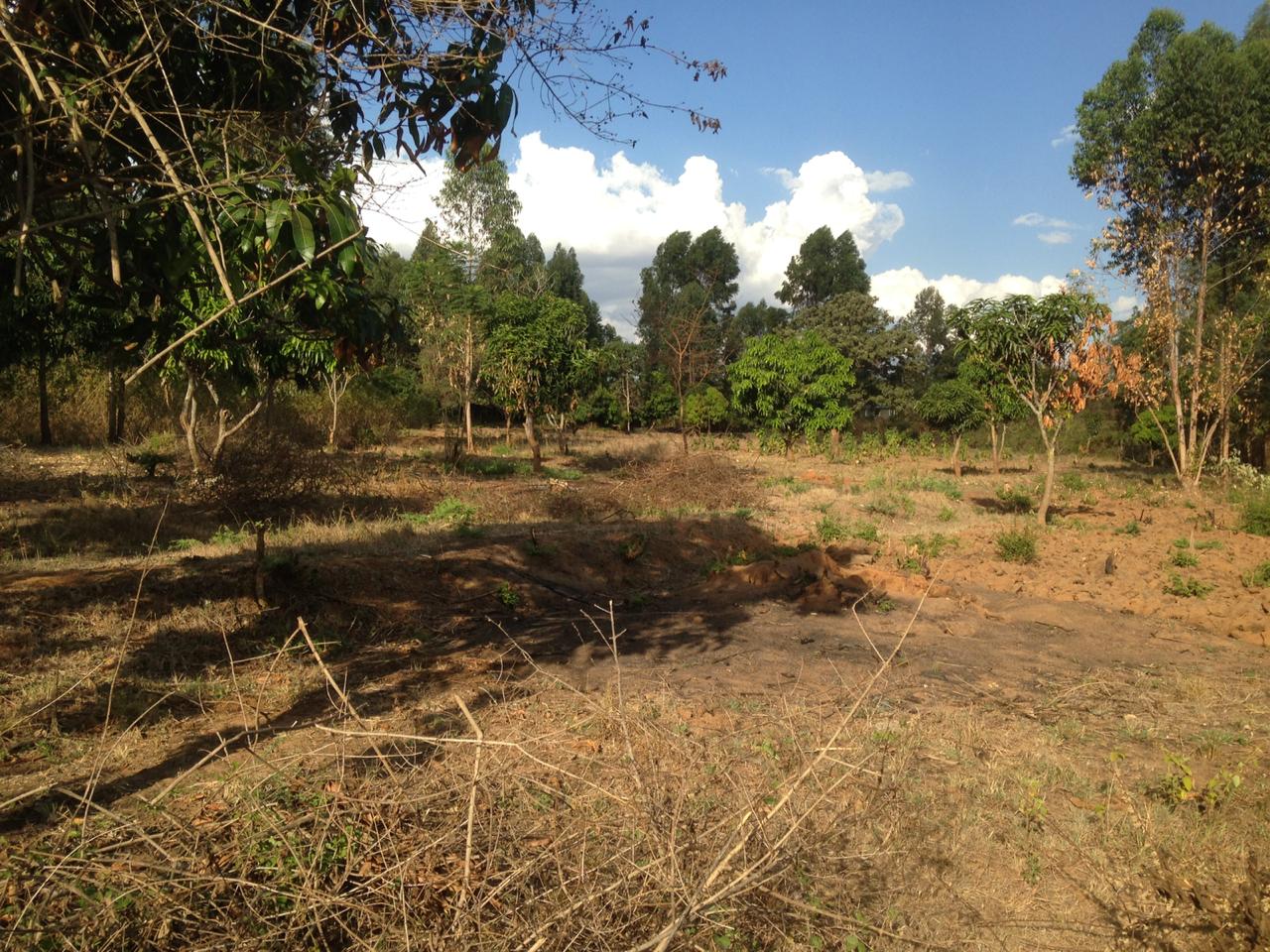 10 Acres land for Sale in Embu Siakago. 