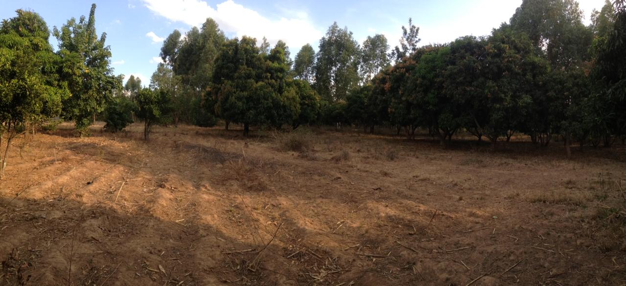 10 Acres land for Sale in Embu Siakago. 