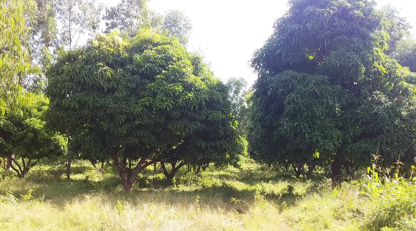 10 Acres land for Sale in Embu Siakago. 