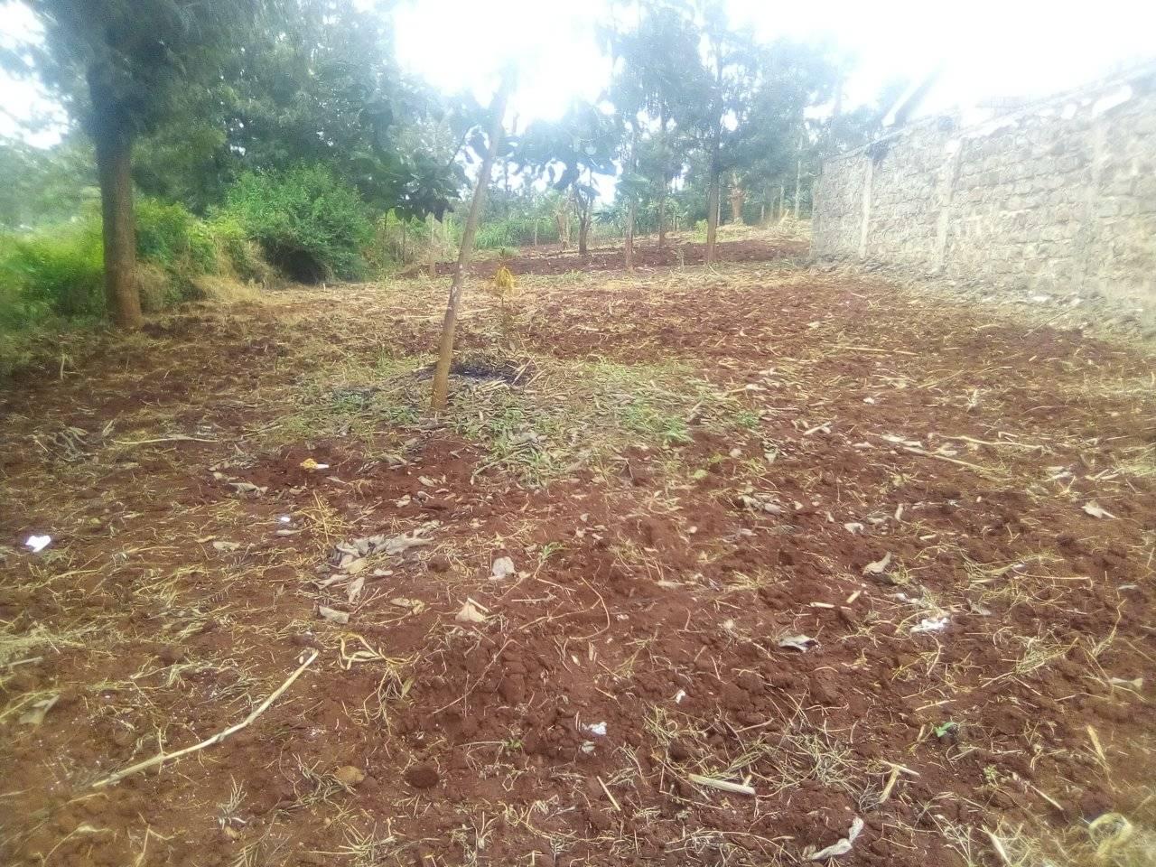 50 by 100 plot for sale in Muranga Kenol