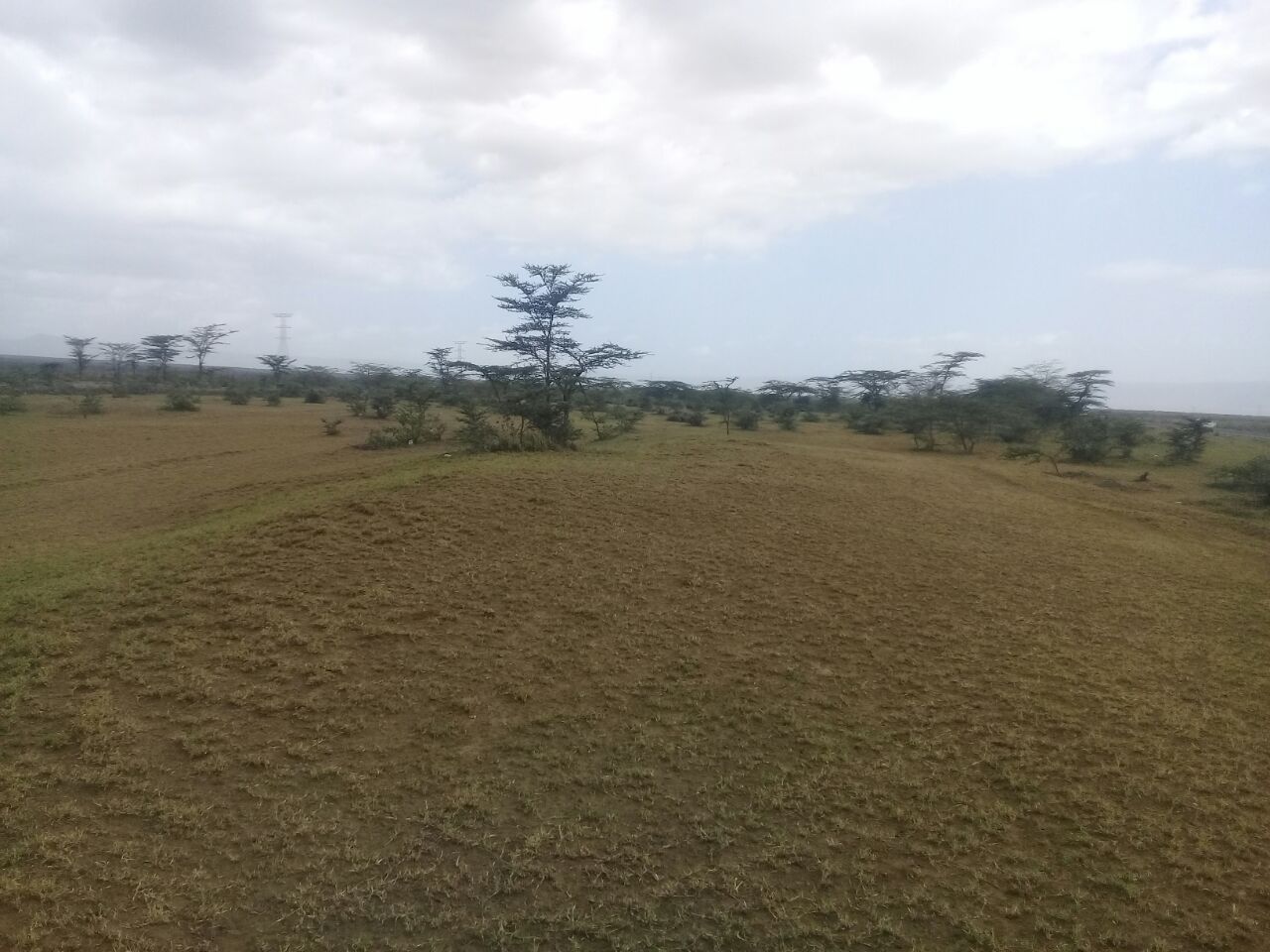 4500 Acres in Naivasha dry port for sale