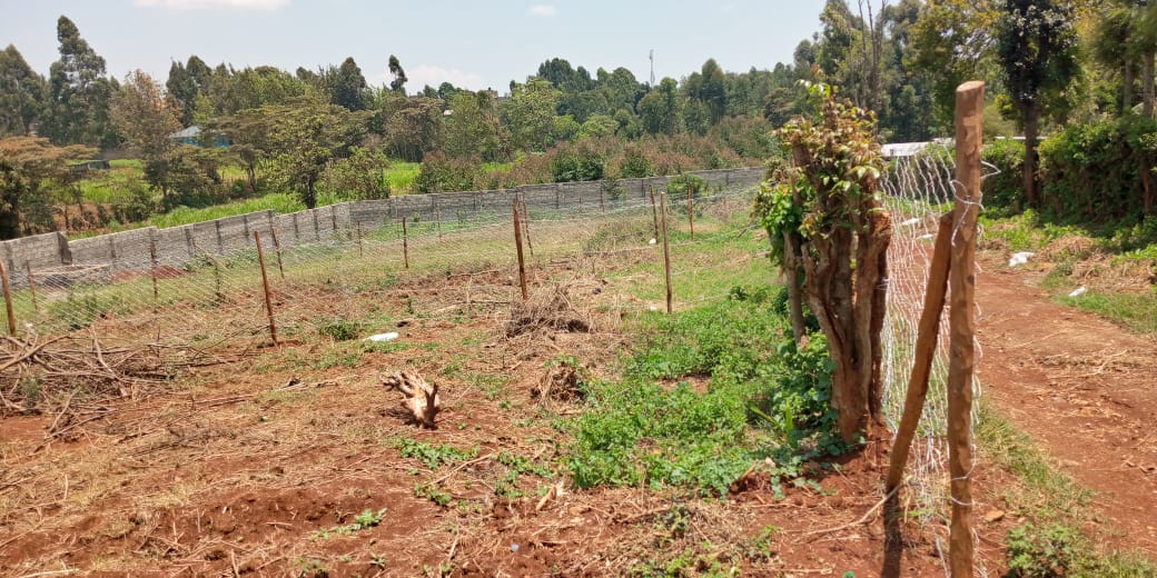 50 by 100 plot for sale in Kiambu Kabete.