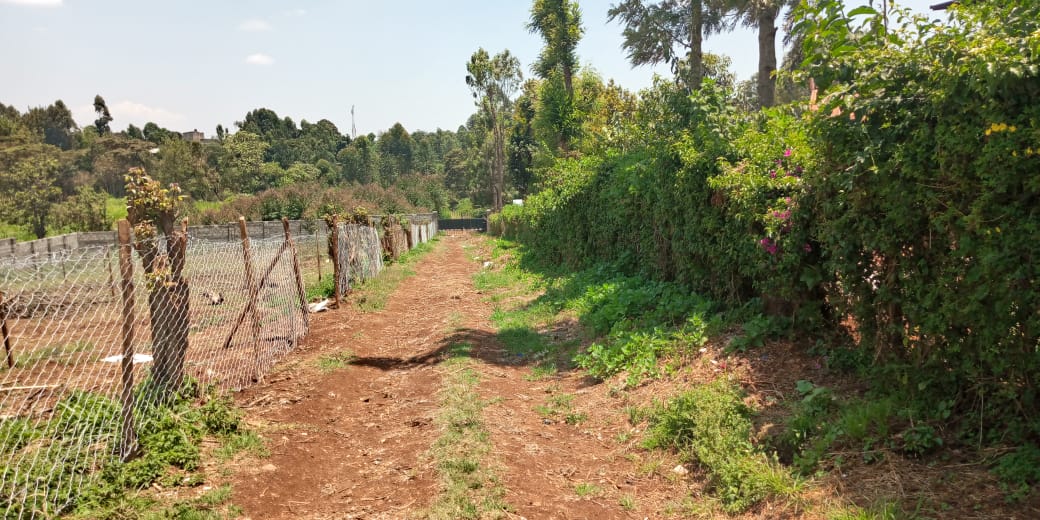 50 by 100 plot for sale in Kiambu Kabete.