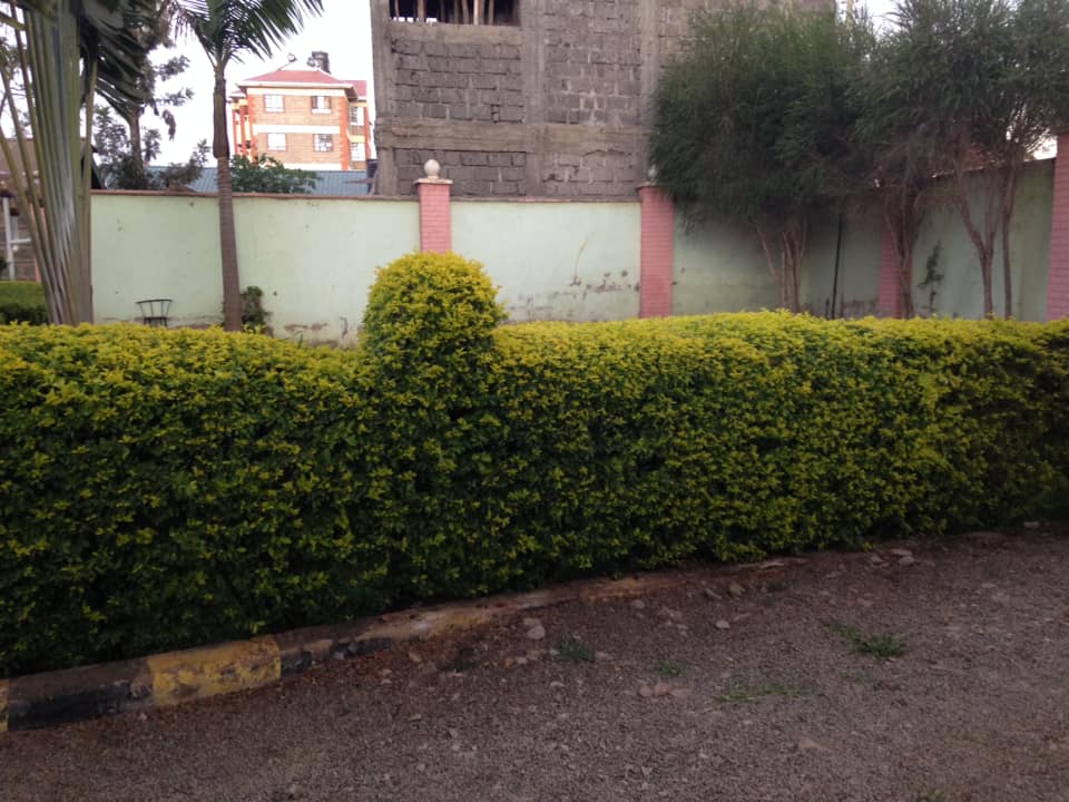 5 Bedroom Spacious Designer House for SALE at Ksh. 18M