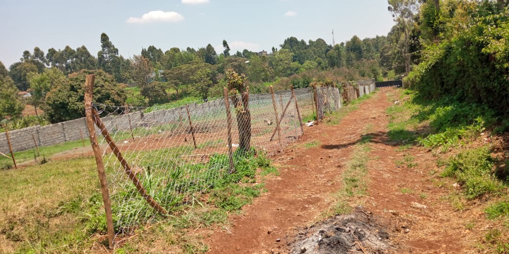 50 by 100 plot for sale in Kiambu Kabete.