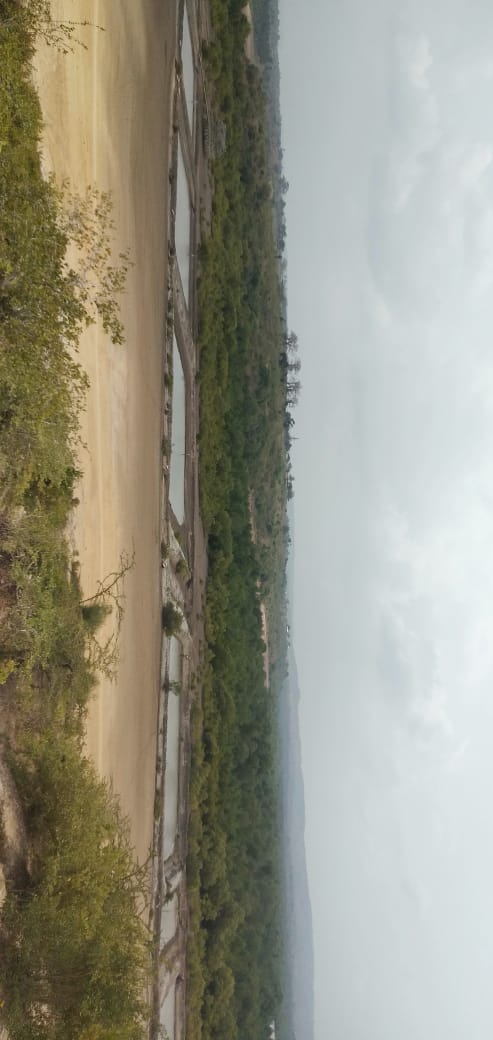 20 Acres prime land for Sale in Kwale Dongo kundu bypass