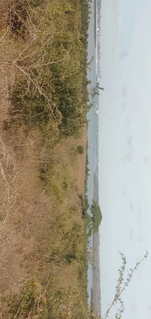 20 Acres prime land for Sale in Kwale Dongo kundu bypass