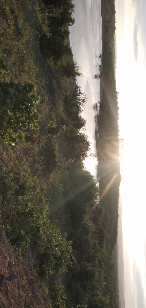20 Acres prime land for Sale in Kwale Dongo kundu bypass
