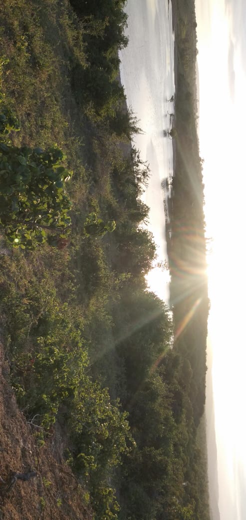 20 Acres prime land for Sale in Kwale Dongo kundu bypass