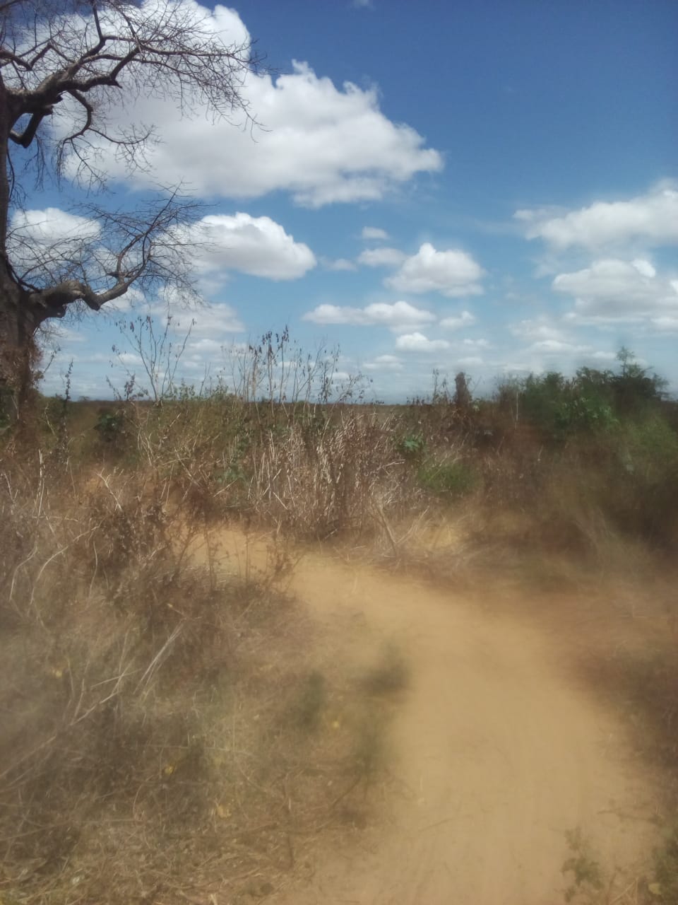 360 Acres Agricultural land for sale in Makindu Makueni