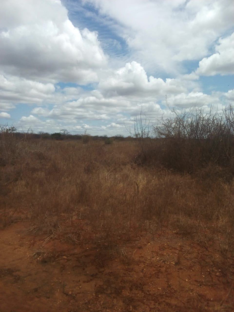 360 Acres Agricultural land for sale in Makindu Makueni