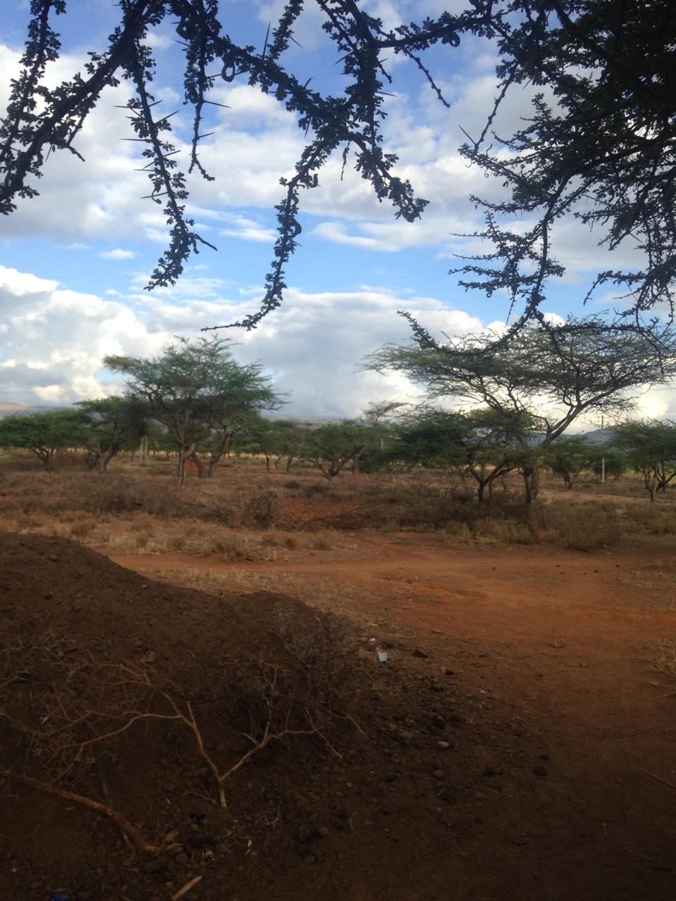 102 ACRES LAND FOR SALE IN OLENTOKO KAJIADO WEST