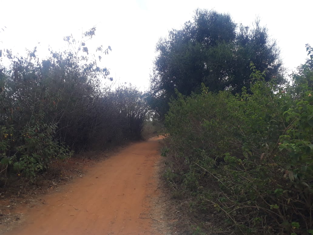 30 Acres Agricultural land for sale in Machakos Masii