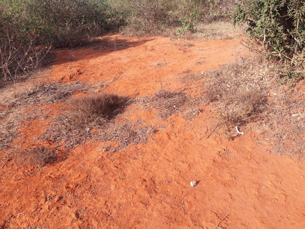 30 Acres Agricultural land for sale in Machakos Masii