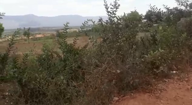 13 Acres Prime land for sale in Mwala Machakos