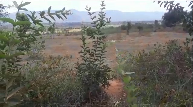 13 Acres Prime land for sale in Mwala Machakos
