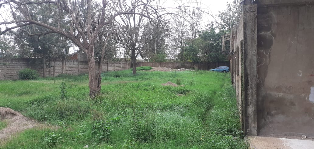 1.5 Acre prime lane for sale in Thika Makongeni