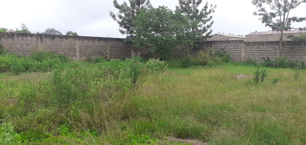 1.5 Acre prime lane for sale in Thika Makongeni