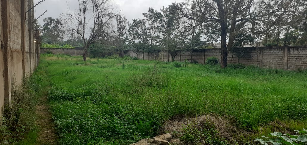 1.5 Acre prime lane for sale in Thika Makongeni