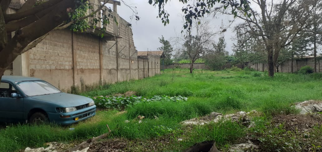 1.5 Acre prime lane for sale in Thika Makongeni