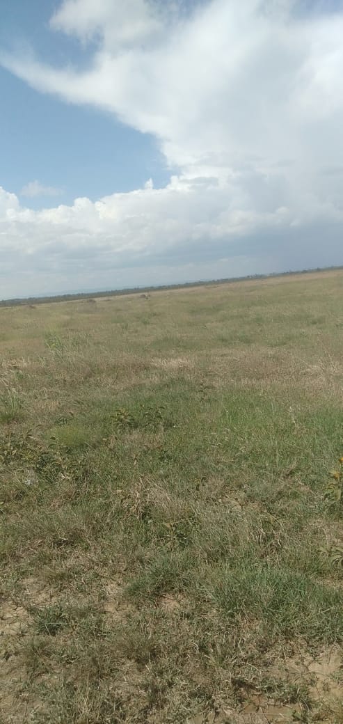 200 Acres Agricultural land for sale in Nyeri Kiamathaga