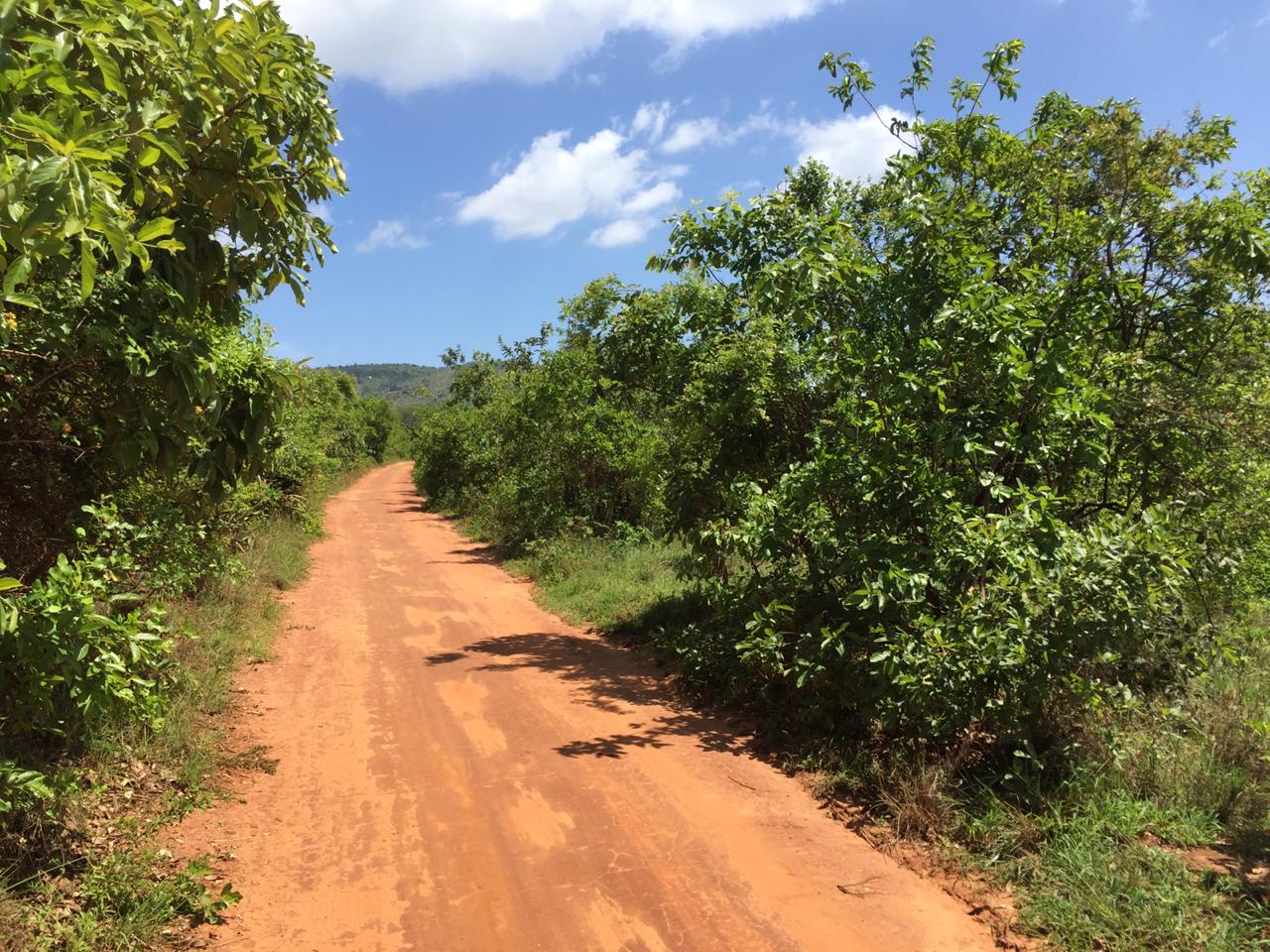 10 Acres land for Sale in Embu Siakago, Musonoke