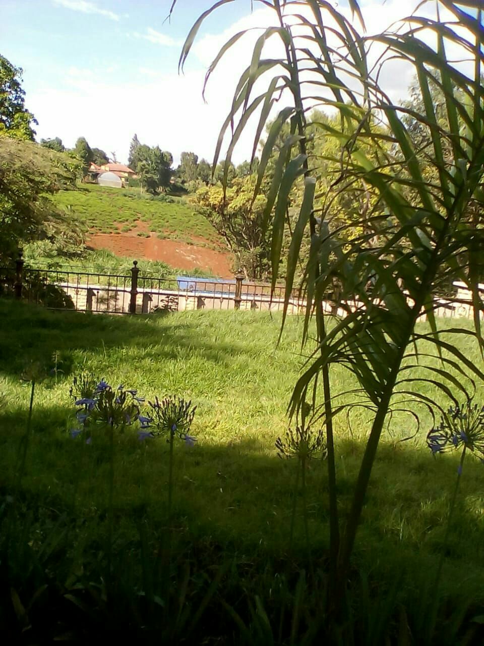 TIGONI LIMURU 7BR FULLY FURNISHED AMBASSADORIAL HOUSE FOR RENT