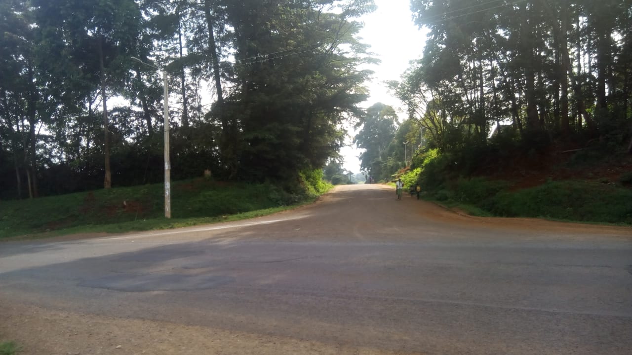 0.5 Acre plot Quick Sale