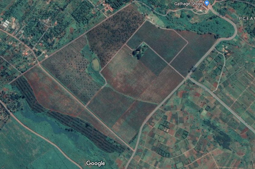 Coffee Plantation 303 Acre for sale
