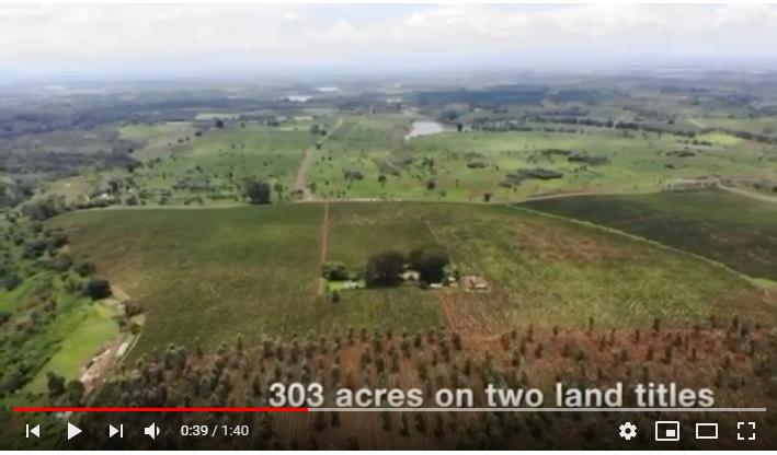 Coffee Plantation 303 Acre for sale